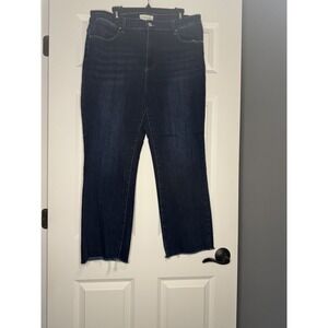 Risen Plus Size Straight Denim Jeans 2xl Blue Style Rdp5203x